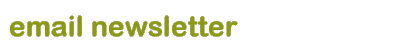 email newsletter